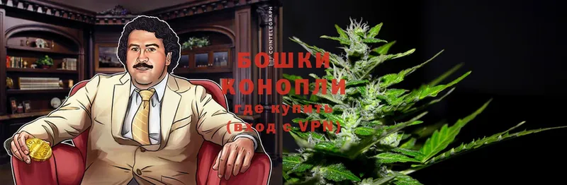 сайты даркнета официальный сайт  Жиздра  Марихуана White Widow 